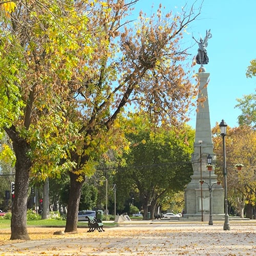 GrupoDefensa.cl Sucursal Talca.